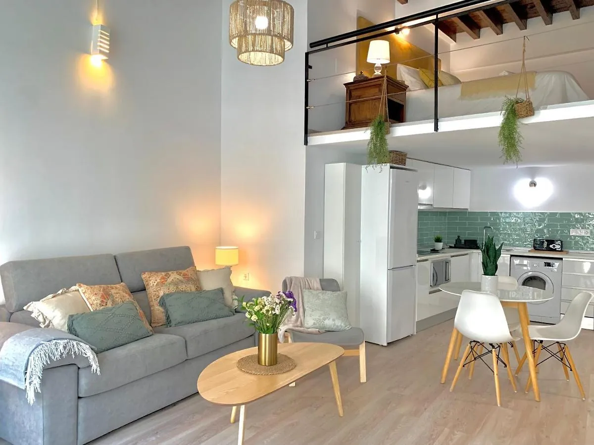 Homely Malaga Loft Especerias