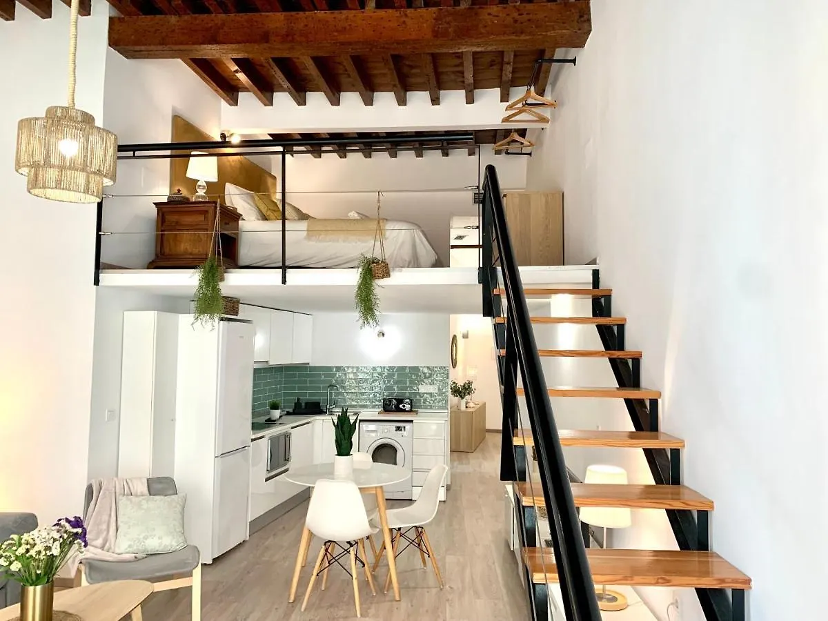 Homely Malaga Loft Especerias 0*,