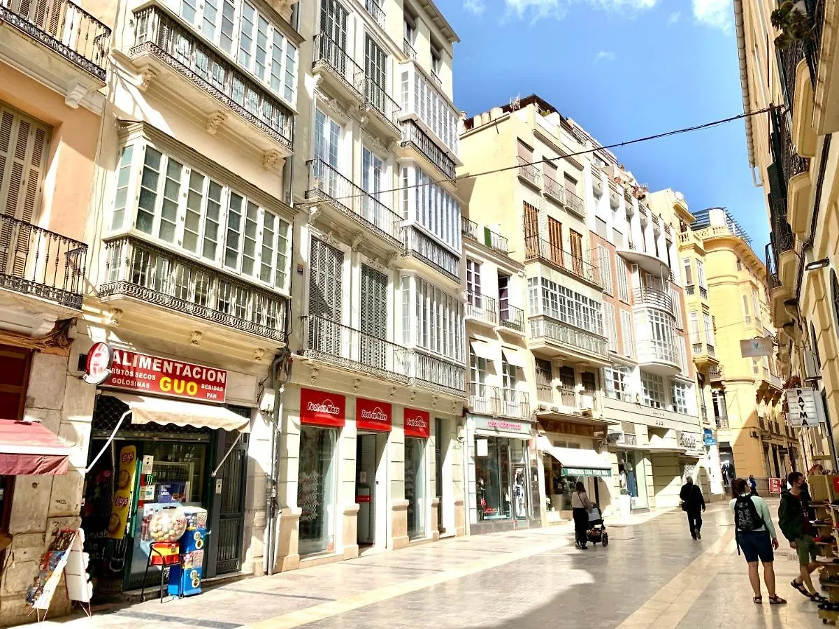 Lägenhet Homely Malaga Loft Especerias
