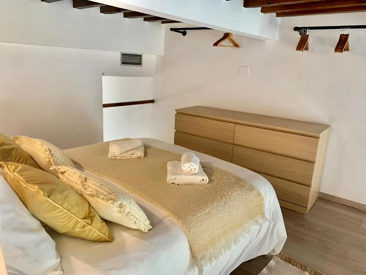 Homely Malaga Loft Especerias 0*,