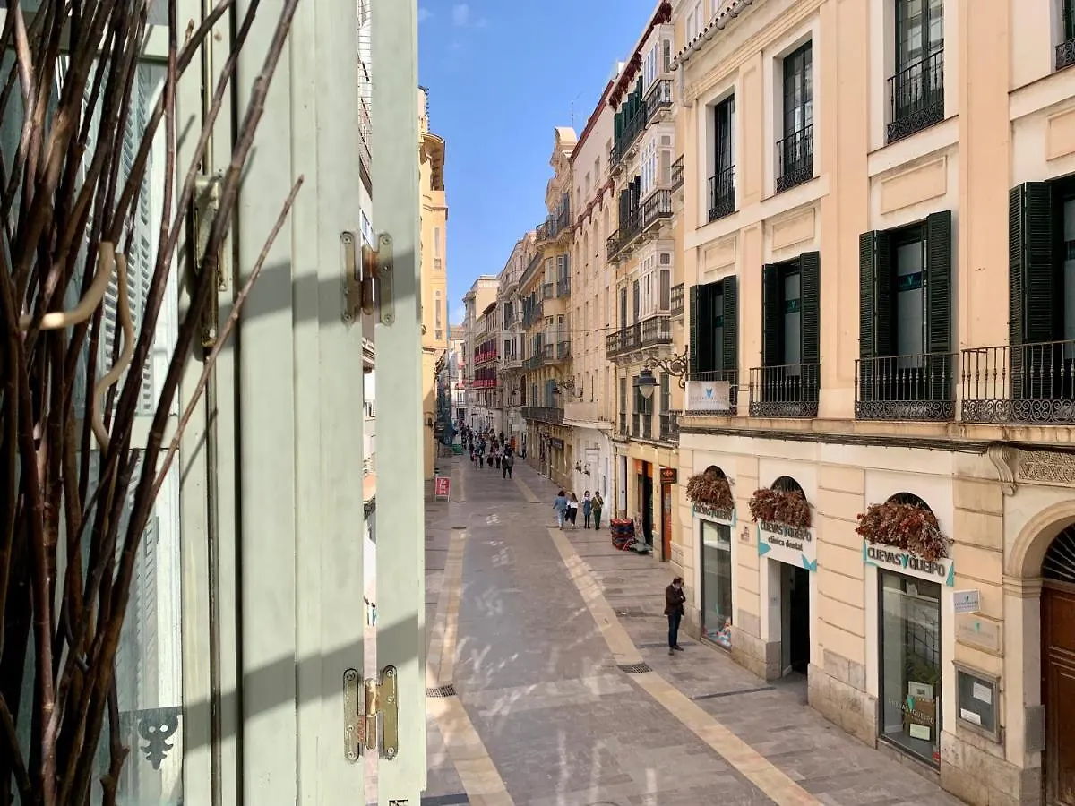 Homely Malaga Loft Especerias Apartment